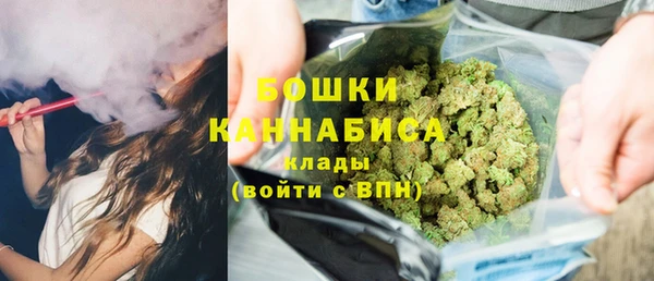 сатива Верхний Тагил