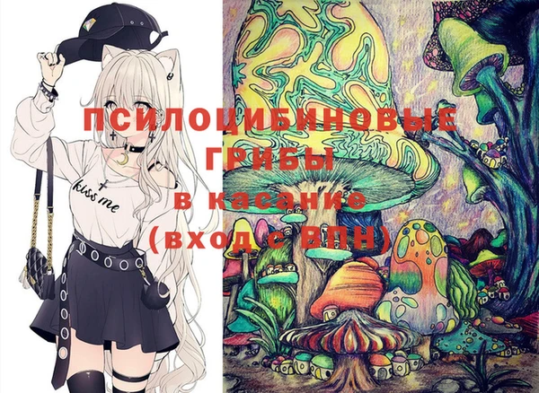 сатива Верхний Тагил