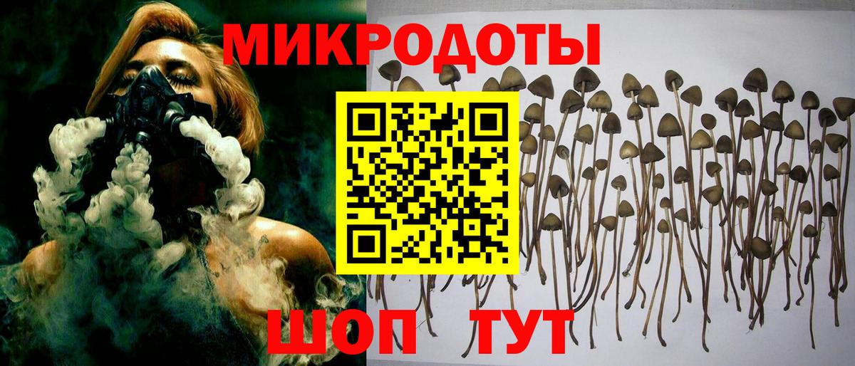 Псилоцибиновые грибы Magic Shrooms Якутск